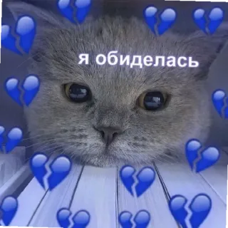 😒 я обиделась 猫, 悲しい, 失恋, ロシア, 可愛い telegram sticker