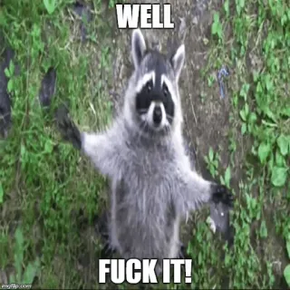 😊 WELL
FUCK IT! mapache, meme, gracioso, animal, grosería whatsapp sticker