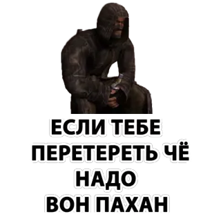 🎅 ЕСЛИ ТЕБЕ ПЕРЕТЕРЕТЬ ЧЁ НАДО ВОН ПАХАН telegram sticker