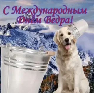 🪣 С Международным Днём Ведра! dog, bucket, mountains, golden retriever, pet, animal, snow, International Bucket Day telegram sticker