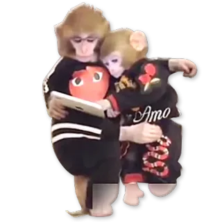🐒 Amo Affen, Liebe, Tiere, süß whatsapp sticker
