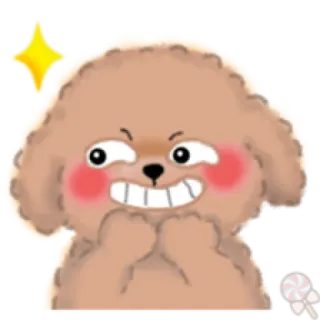 💕 犬, 可愛い, プードル, 漫画, ステッカー, 幸せ, かわいい telegram sticker