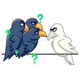 🤔 pájaros, cuervos, signos de interrogación, dibujos animados, pegatina, sospecha telegram sticker