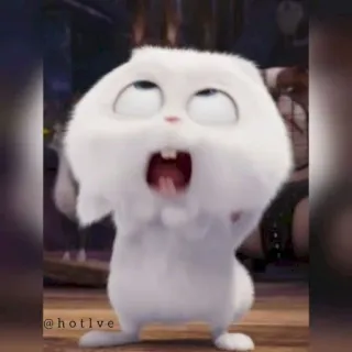 😮 @hotlve rabbit, bunny, animal, cute, white telegram sticker