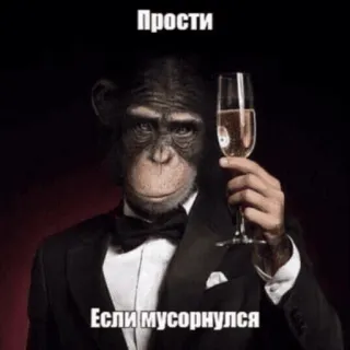 😞 Прости
Если мусорнулся scimmia, scusa, completo, formale, animale, mi dispiace, saluto, vino telegram sticker