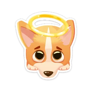 😇 cachorro, corgi, halo, fofo, anjo, animal de estimação, adesivo whatsapp sticker