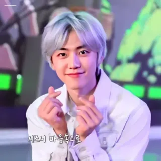 🧺 시즈니 마음속으로 kpop, herz, idol, jaemin, koreanisch whatsapp sticker