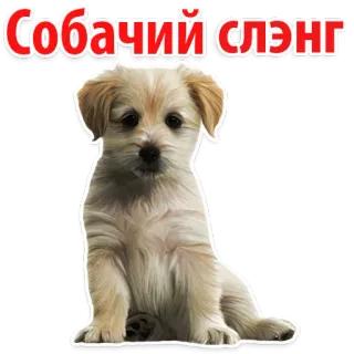 👍 СОБАЧИЙ СЛЭНГ dog, puppy, slang, russian, animal, cute, pet telegram sticker