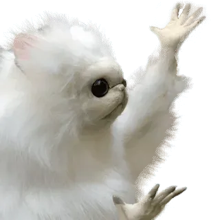 😒 cat, white, funny, animal, meme whatsapp sticker