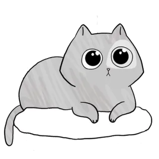 😳 gatto, animale domestico, animale, adesivo, carino, kawaii telegram sticker