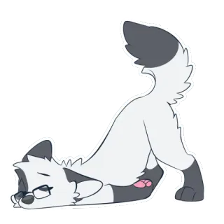 🤤 猫, ヨガ, メガネ, 動物, 漫画, ストレッチ, かわいい telegram sticker