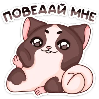 😏 ПОВЕДАЙ МНЕ 고양이, 동물, 귀여운, 스티커, 러시아, 텍스트, 만화 telegram sticker