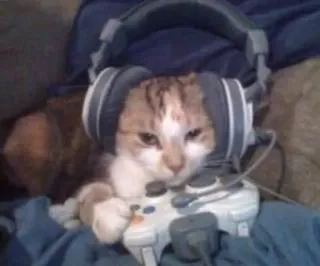 🌟 gato, gamer, fones de ouvido, controle, gaming telegram sticker