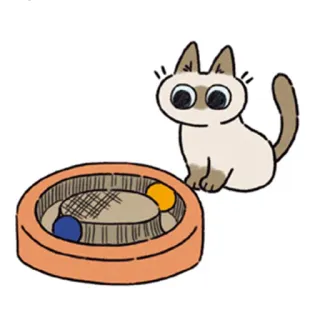 🤨 kucing, mainan, bola, hewan peliharaan, hewan whatsapp sticker