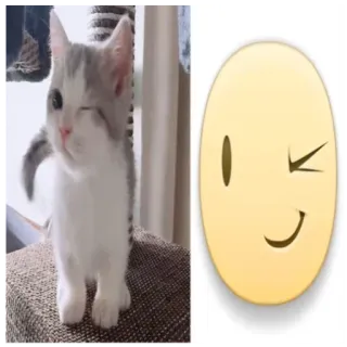 😌 小猫, 猫, 眨眼, 表情符号, 动物, 宠物 telegram sticker