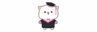 🫖 gatto, laurea, carino, animale, kawaii telegram sticker