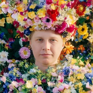 😀 цветы, цветочный, корона, портрет, человек telegram sticker