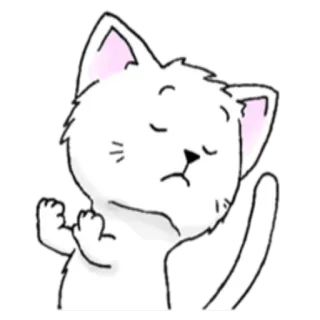 🤚 chat, animal, dessin animé, autocollant, mignon telegram sticker