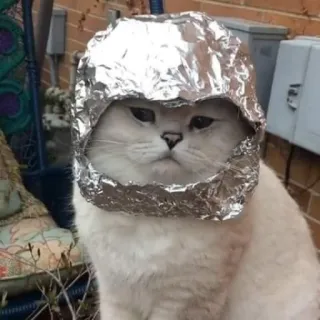 🪐 cat, aluminum foil hat, tin foil hat, paranoid, conspiracy theory, funny, meme, pet telegram sticker
