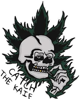🤨 THE CATCH KAIF caveira, erva, maconha, cannabis, cigarro telegram sticker