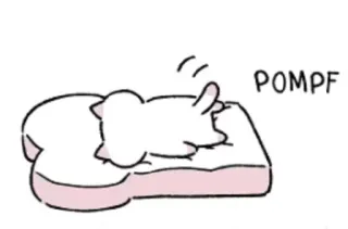 🛏 POMPF Katze, süß, Cartoon, Haustier, Haustier telegram sticker