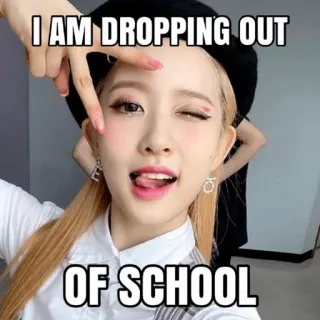 🏫 I AM DROPPING OUT OF SCHOOL meme, school, teen, humor, funny, dropping out telegram sticker