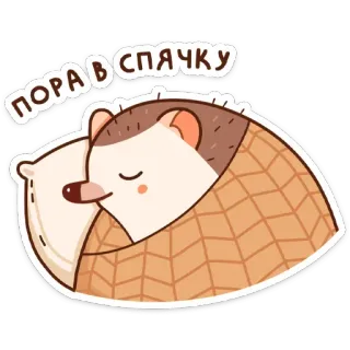 😴 ПОРА В СПЯЧКУ เม่น, นอนหลับ, น่ารัก, ฤดูหนาว, จำศีล telegram sticker