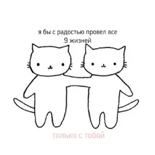 😍 я бы с радостью провел все 9 жизней только с тобой 고양이, 사랑, 우정, 귀여운, 동물, 러시아어 telegram sticker