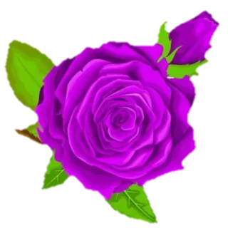 🌸 Blume, Rose, Lila, Blumenmuster, Blüte, Natur telegram sticker