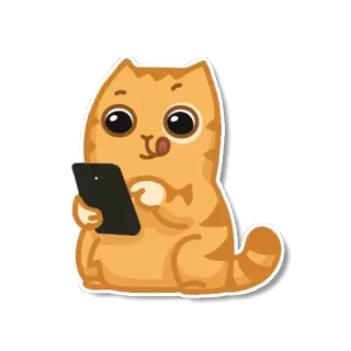 😋 gato, tableta, naranja, lindo, animal telegram sticker