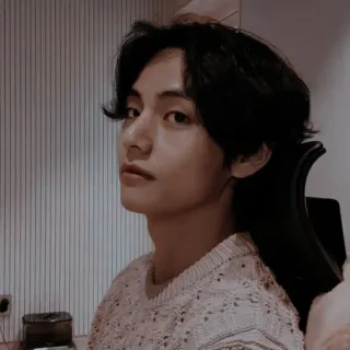 🐻 V V, BTS, K팝, 아이돌, 가수, 한국 telegram sticker