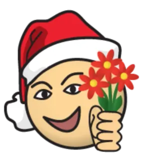 💐 Emoji, Natale, Fiori, Cappello da Babbo Natale telegram sticker