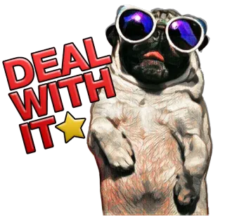 😎 DEAL WITH IT 개, 퍼그, 선글라스, deal with it, 밈, 멋짐, 유머 telegram sticker