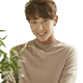 😁 Lee Joon-gi Korean actor, celebrity, man, person, smile telegram sticker