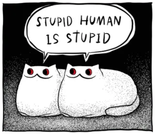 ☺️ STUPID HUMAN IS STUPID 猫, ミーム, 面白い, バカ, 人間 telegram sticker