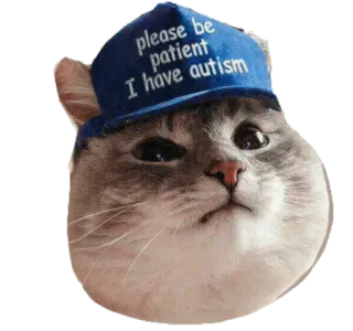😥 please be patient I have autism 고양이, 자폐증, 환자, 모자, 귀여운 telegram sticker