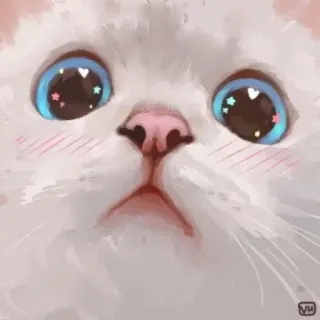 👀 chat, chaton, mignon, animal, animal de compagnie, duveteux, chat blanc, yeux whatsapp sticker