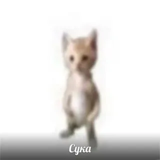 😍 Сука cat, meme, cursing, offensive, russian, animal telegram sticker