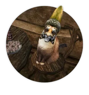 😻 chat, tigre, bizarre, amusant, chapeau telegram sticker