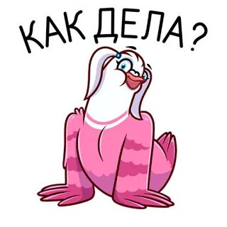 🐦 КАК ДЕЛА? vraag, russisch, tekst, cartoon, duif, hoe gaat het whatsapp sticker