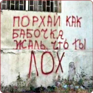 👎 ПОРХАЙ КАК БАБОЧКА ЖАЛЬ ЧТО ТЫ ЛОХ Grafiti, Insulto, Mariposa, Perdedor whatsapp sticker