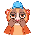 Loris whatsapp stickers