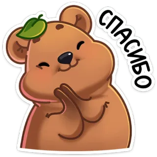 😊 СПАСИБО Bär, Danke, Süß, Freundlich, Dankbar, Lächelnd whatsapp sticker