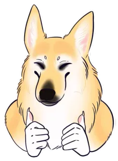 👍 anjing, hewan, jempol ke atas, lucu, meme telegram sticker