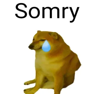 😥 Cheems Somry chien, pleurs, mème, triste, excuses telegram sticker