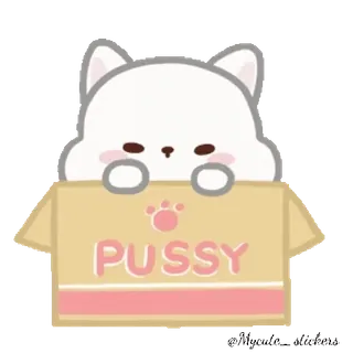 🐱 PUSSY кот, животное, милый, коробка, питомец, котёнок whatsapp sticker