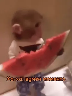😂 Ха-ха, wumen momento แตงโม, ลิง, ตลก, เรื่องตลก, มีม telegram sticker