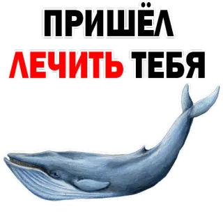 😊 ПРИШЁЛ ЛЕЧИТЬ ТЕБЯ paus, hewan, laut, samudra, obat, dokter telegram sticker
