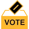 🗳