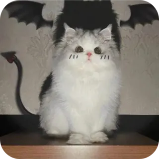 🐱 猫, 悪魔, 翼, 尻尾, 可愛い, 子猫 telegram sticker